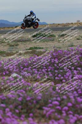 media/Jan-14-2023-SoCal Trackdays (Sat) [[497694156f]]/Turn 14 Exit Bloomig (145pm)/